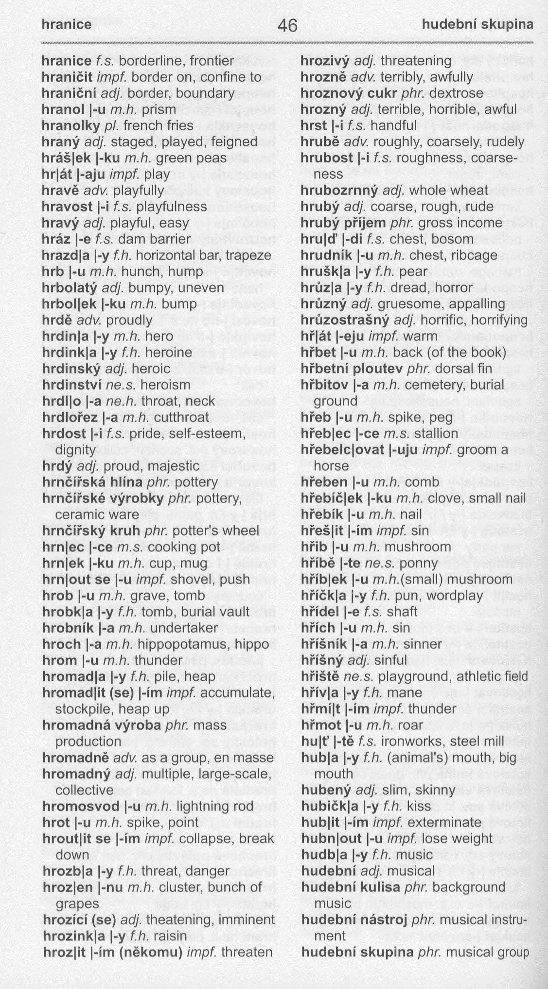 Czech-English / English-Czech Hipp Practical Dictionary