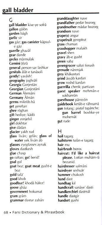 Farsi-English / English-Farsi Hipp Dictionary and Phrasebook