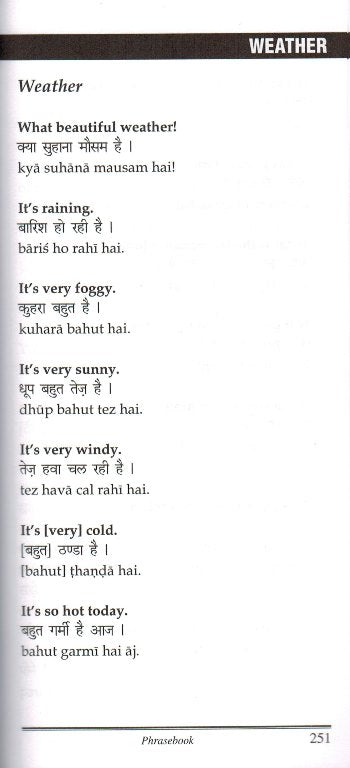 Hindi-English / English-Hindi Hipp Dictionary and Phrasebook