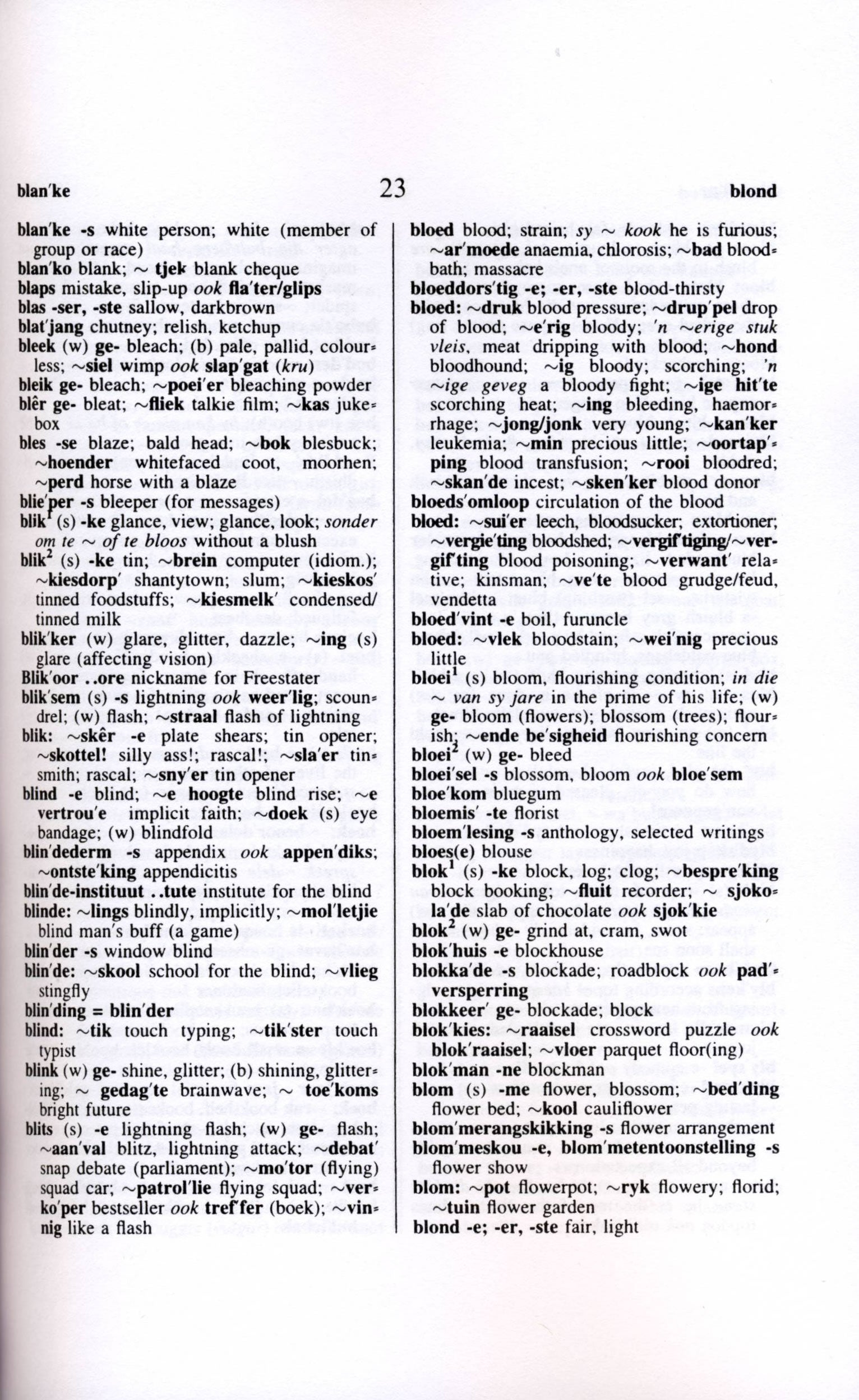 Afrikaans- English / English-Afrikaans Hipp Practical Dictionary