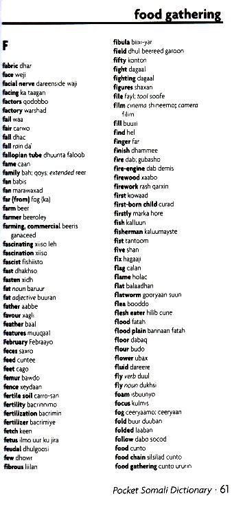Somali-English / English-Somail Hipp Dictionary and Phrasebook