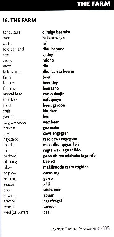 Somali-English / English-Somail Hipp Dictionary and Phrasebook