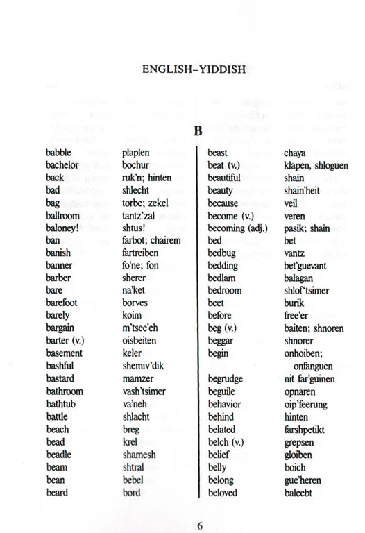 Yiddish-English / English-Yiddish Practical Dictionary