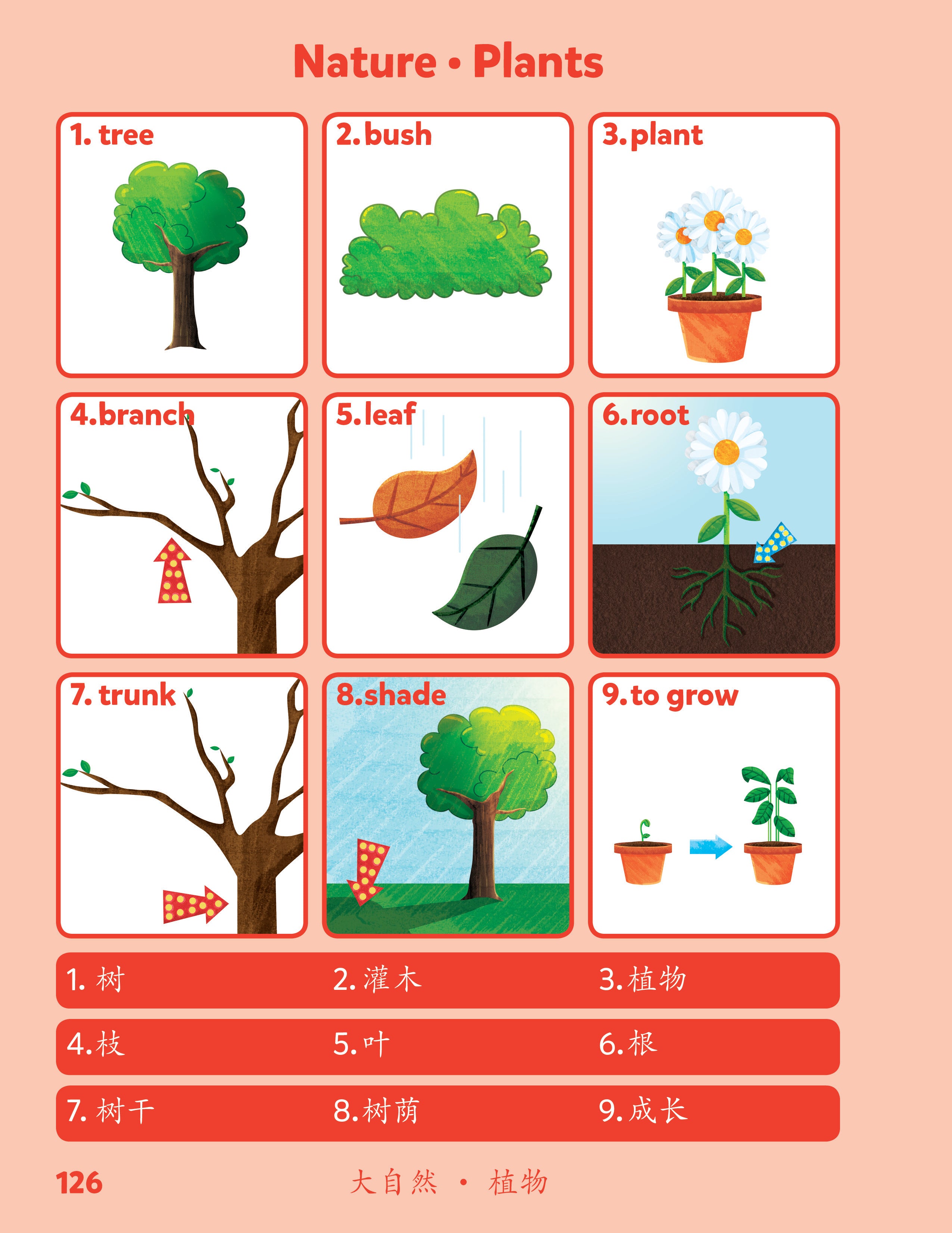 Chinese-English Sesma Children's Bilingual Picture Dictionary