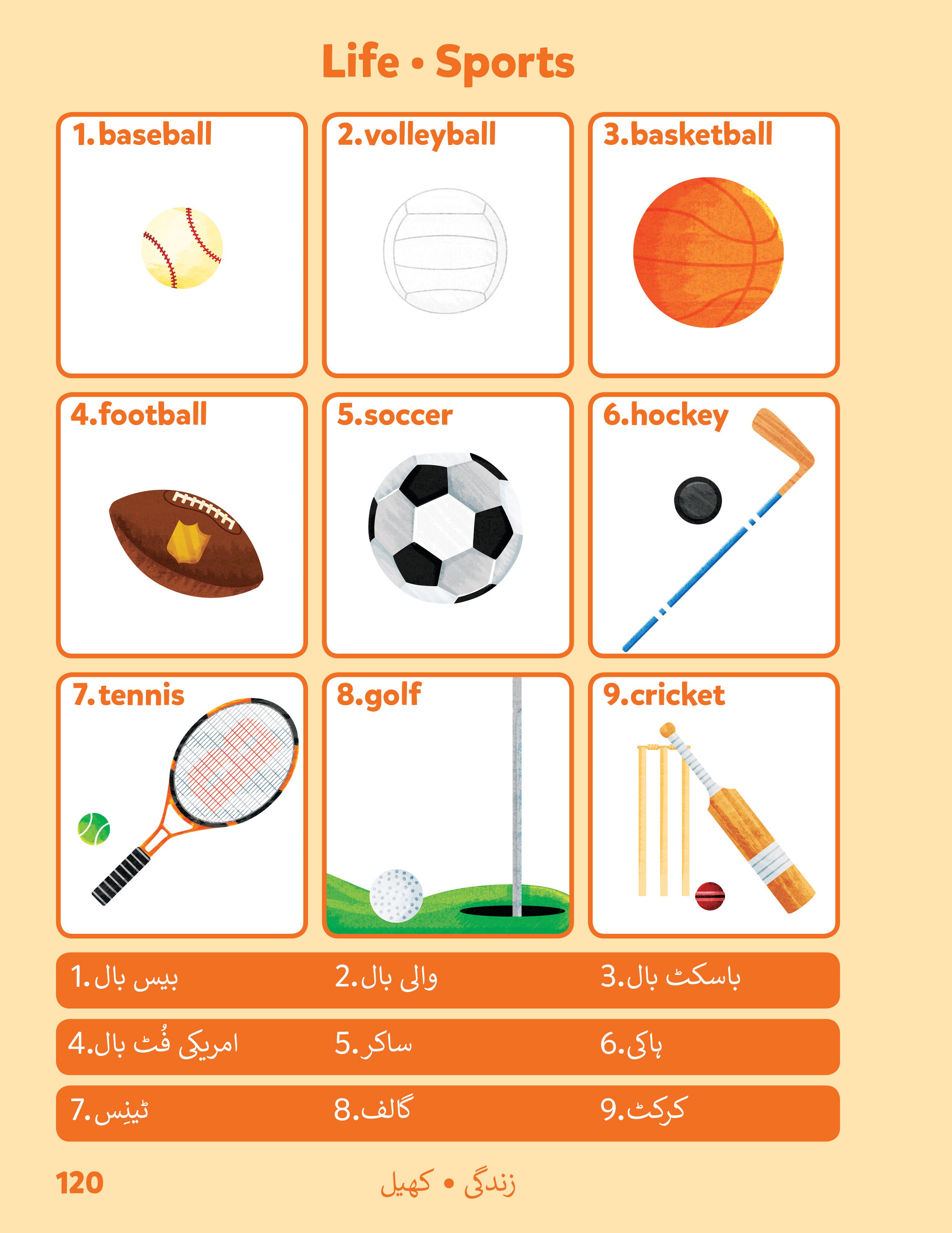 Urdu-English Sesma Children's Bilingual Picture Dictionary