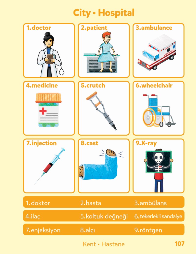 Turkish-English Sesma Children's Bilingual Picture Dictionary