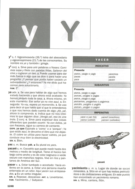 Spanish: Nuevo Diccionario Escolar de La Lengua Espanol