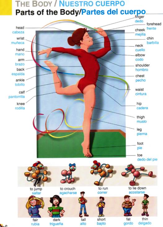 Spanish-English Richmond Children's Picture Dictionary