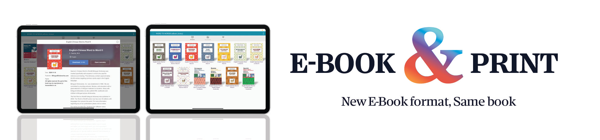 Bilingual Dictionary Class Sets & Kits