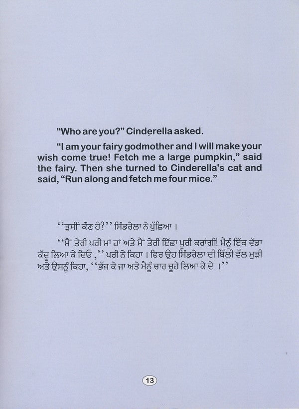 Punjabi-English Cinderella
