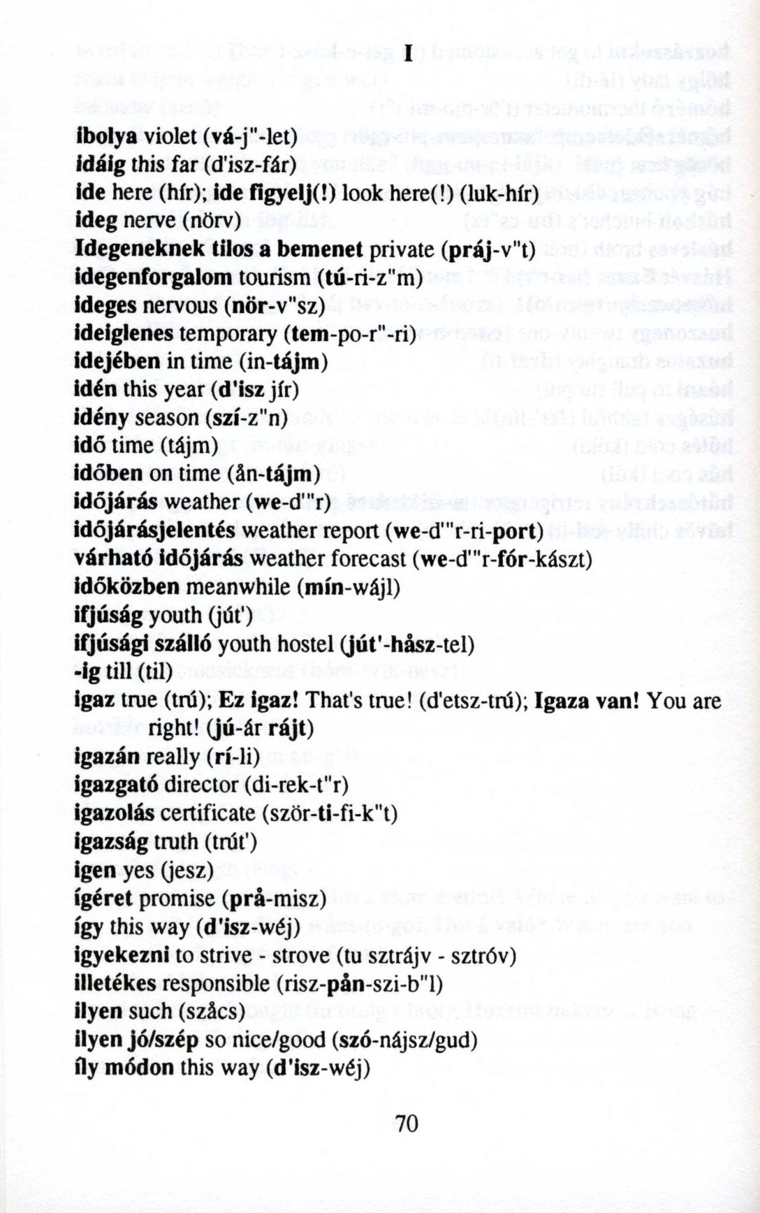 Hungarian-English / English-Hungarian Hipp Concise Dictionary
