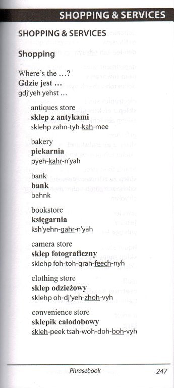 Polish-English / English-Polish Hipp Dictionary and Phrasebook
