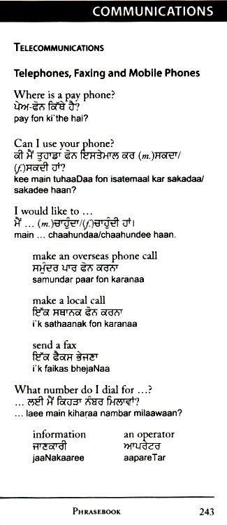 Punjabi-English / English-Punjabi Hipp Dictionary and Phrasebook