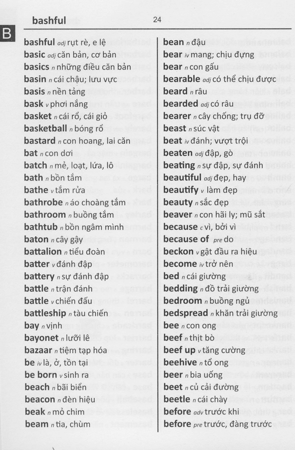Vietnamese BD Word to Word® Dictionary